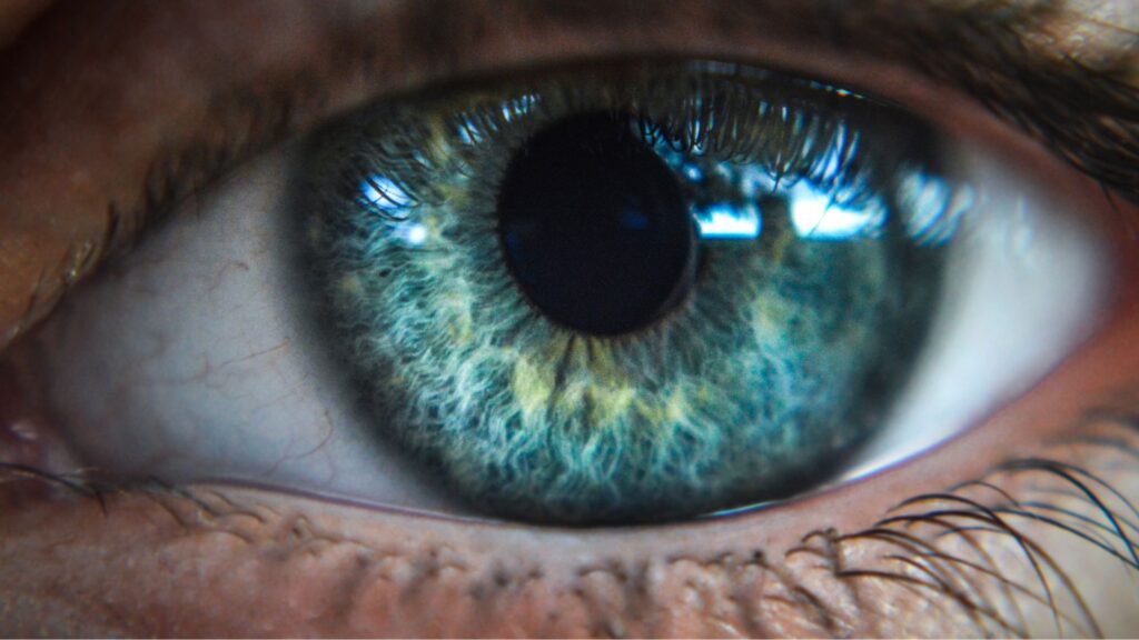 eye